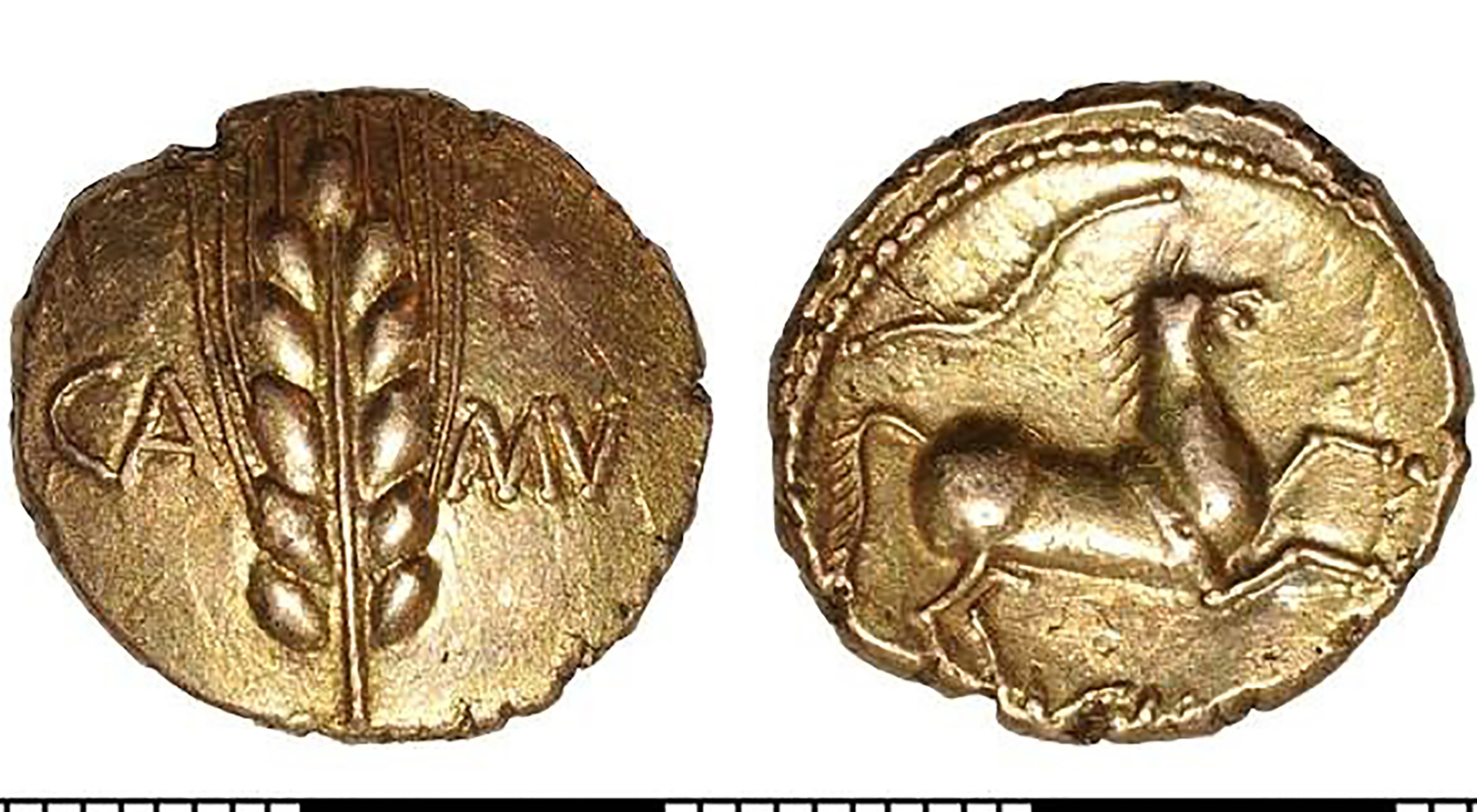 Coins of King Cunobelin